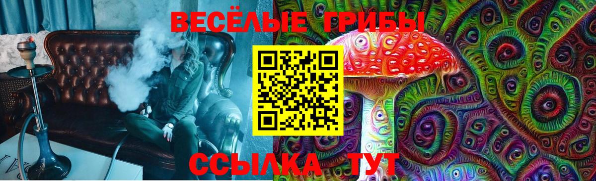 Псилоцибиновые грибы мицелий  наркотики  Арзамас  Вход с VPN 