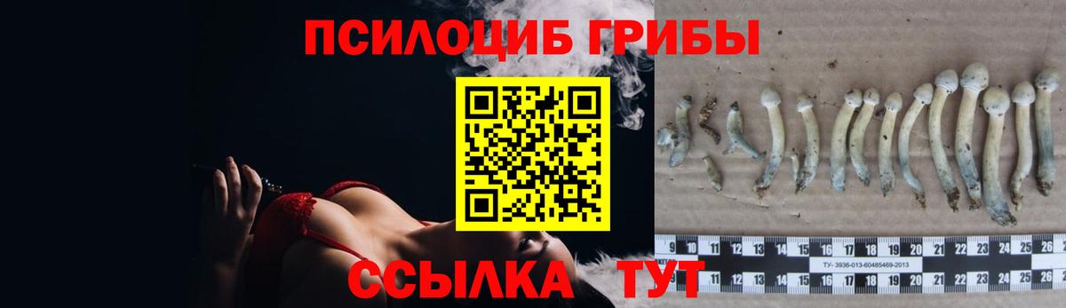Галлюциногенные грибы Cubensis Арзамас